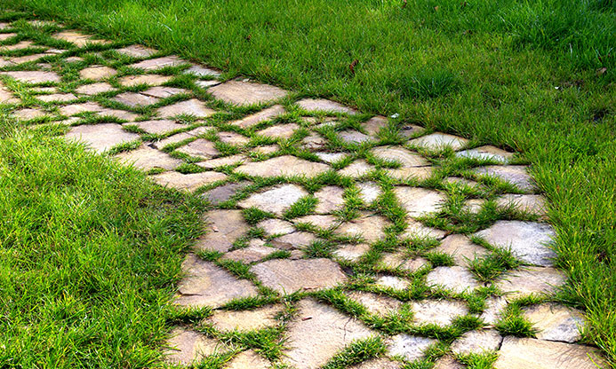 Fotografia d'un camí de jardí